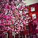 Spring?