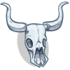 a Longhorn Skull