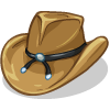 a Cowboy Hat