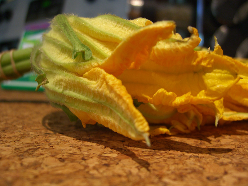 Close-up of the Zucchini Flowers