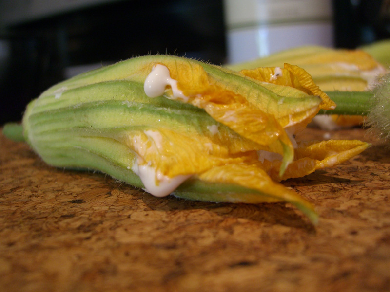 Zucchini Flowers Oozing with Cheesy Goodness