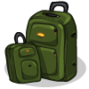a 2-Piece Luggage Set