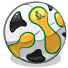 a Soccer Ball