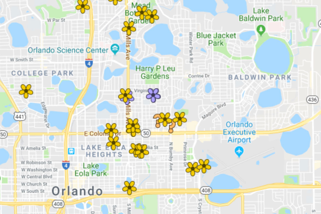 Screenshot of Night-Blooming Cereus in Orlando Google Map