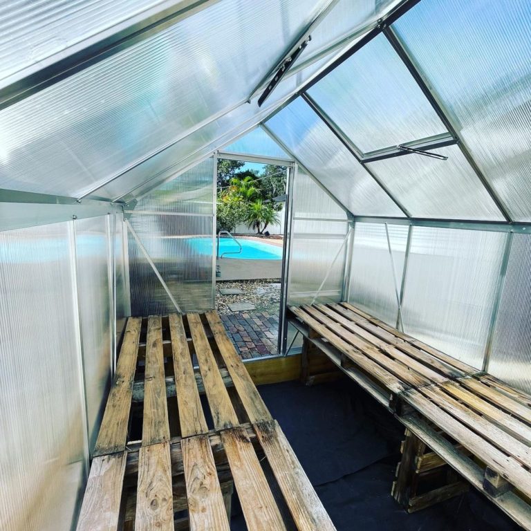 Harbor Freight 6×8 Greenhouse Jasongraphix