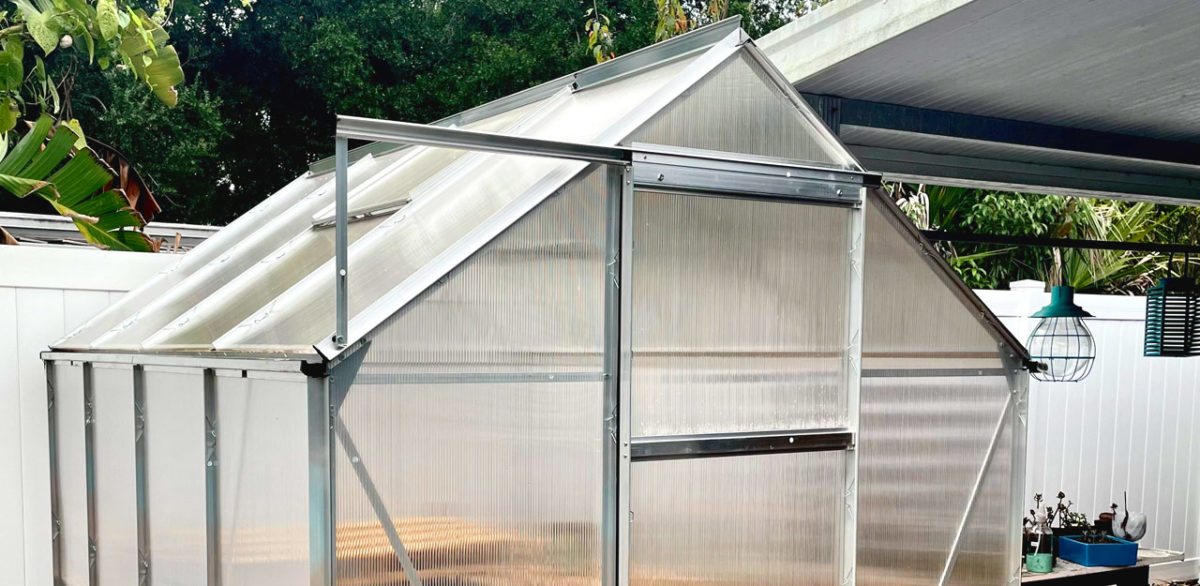 Harbor Freight 6×8 Greenhouse Jasongraphix