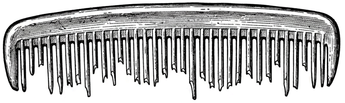 An illustration of a comb with most of the teeth broken off at different lengths.
